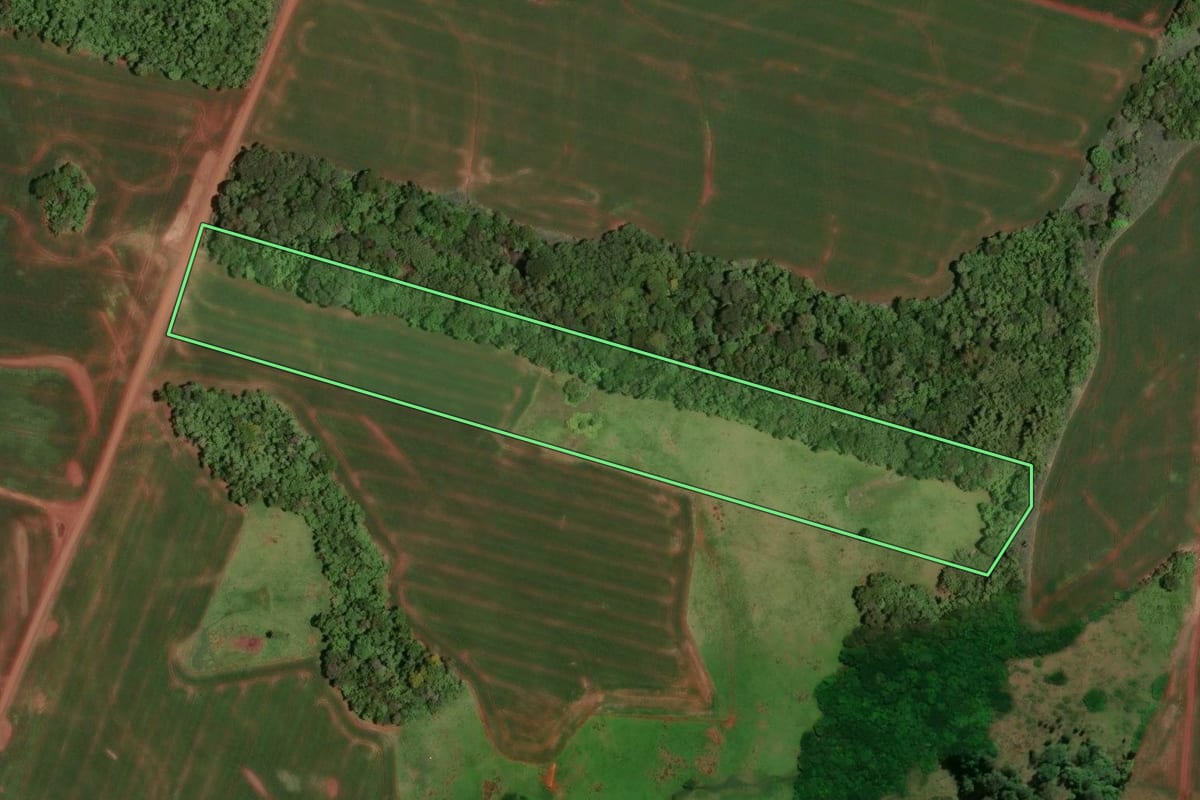 Imagem de satélite do imóvel rural em Assis Chateaubriand (PR), com o contorno declarado no CAR desenhado por cima.