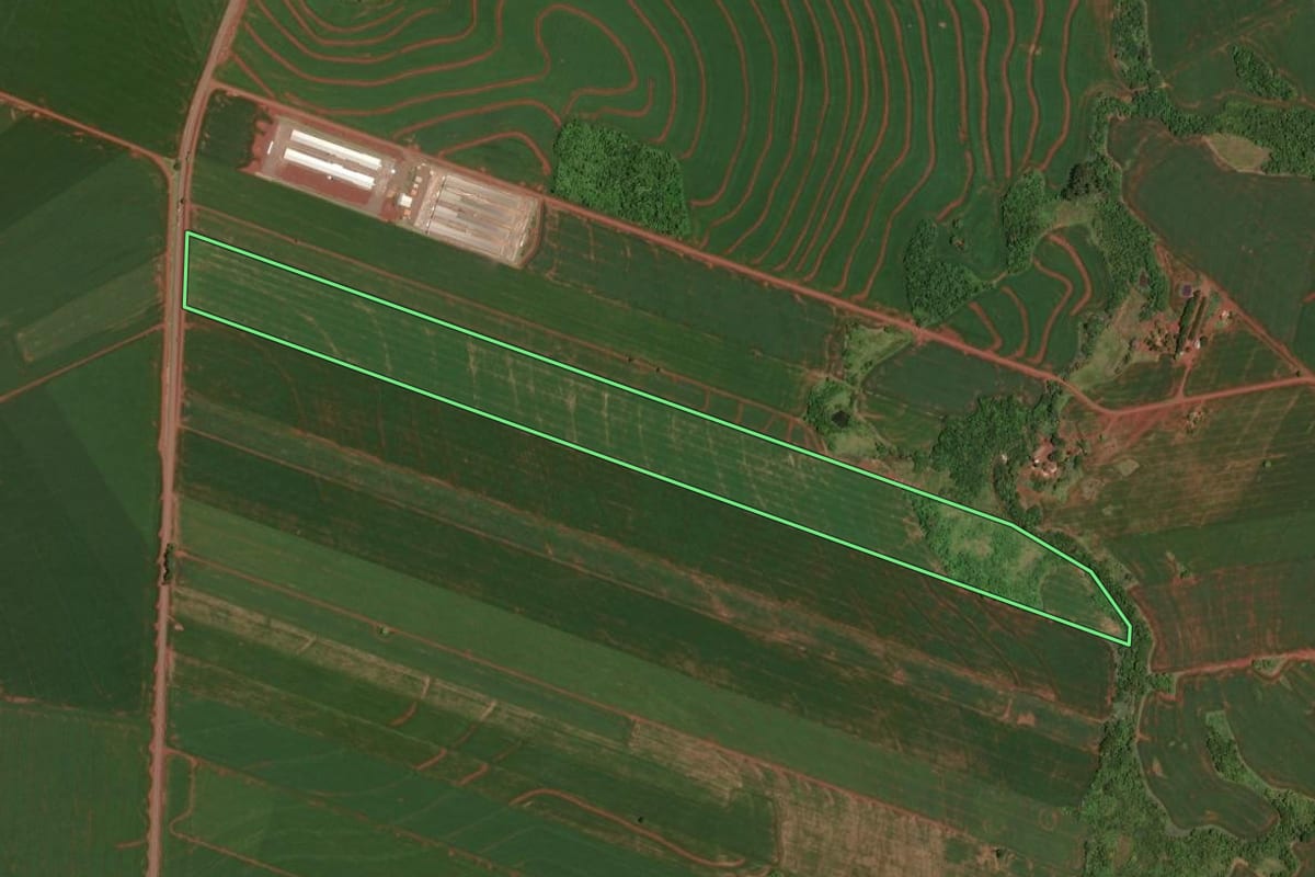 Imagem de satélite do imóvel rural em Assis Chateaubriand (PR), com o contorno declarado no CAR desenhado por cima.