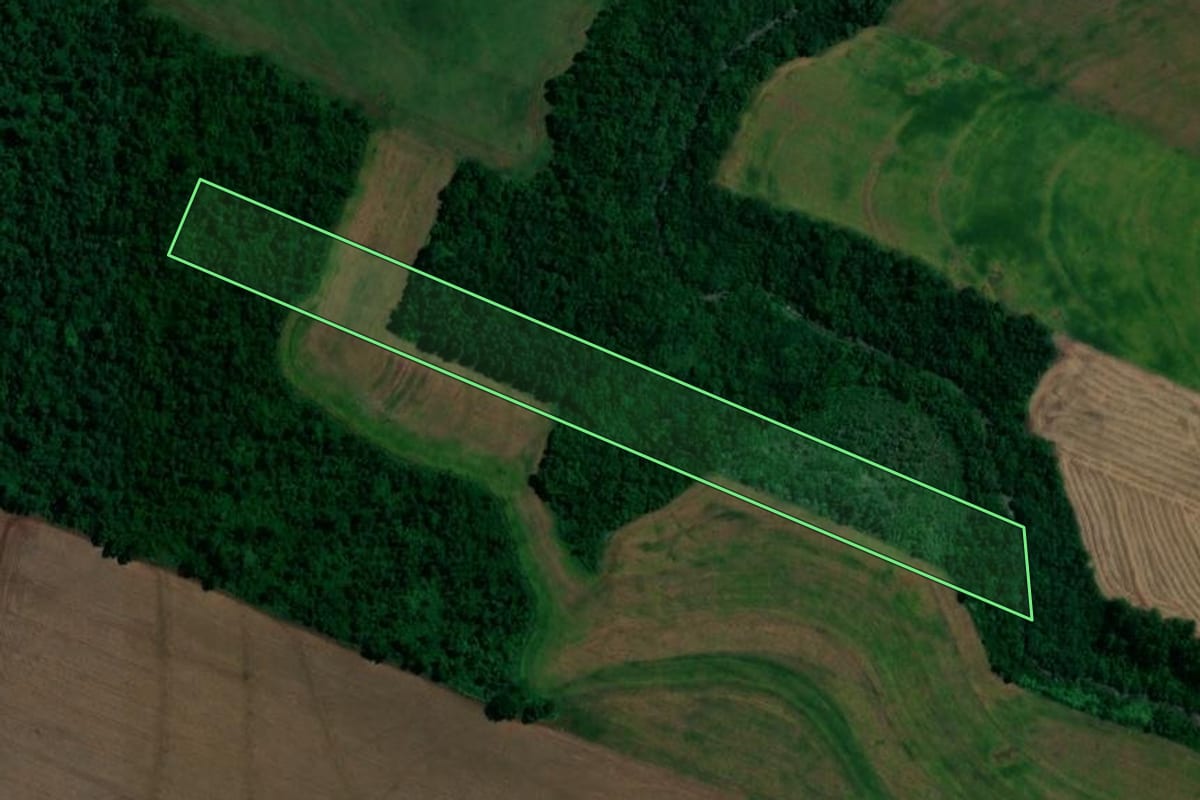 Imagem de satélite do imóvel rural em Assis Chateaubriand (PR), com o contorno declarado no CAR desenhado por cima.