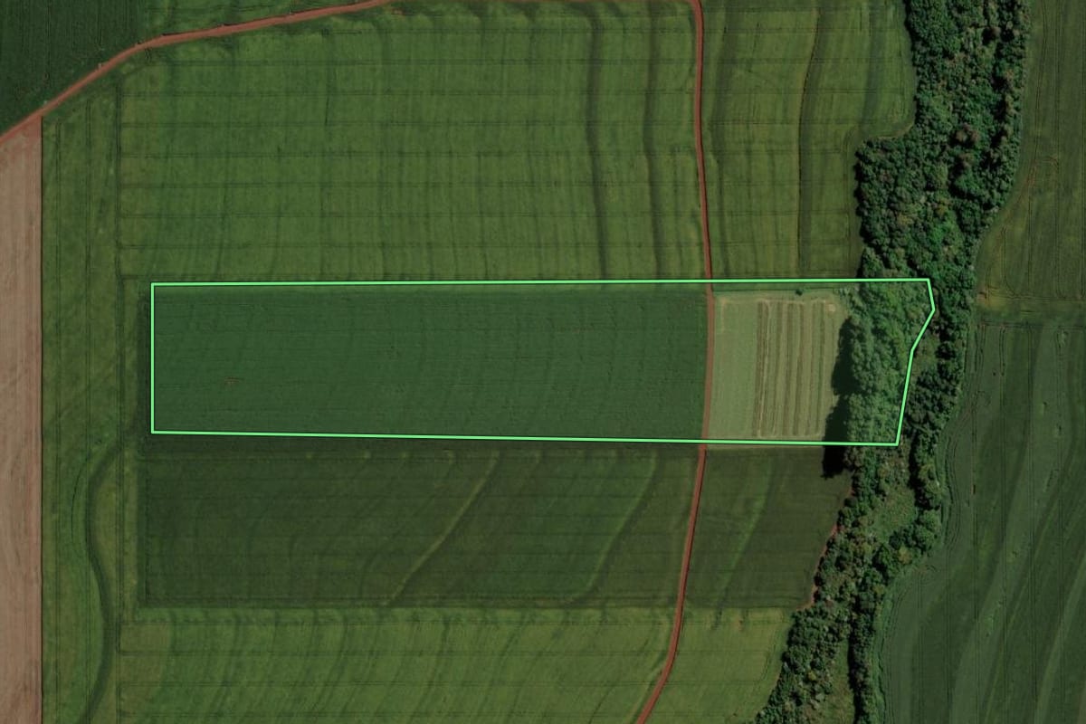 Imagem de satélite do imóvel rural em Assis Chateaubriand (PR), com o contorno declarado no CAR desenhado por cima.