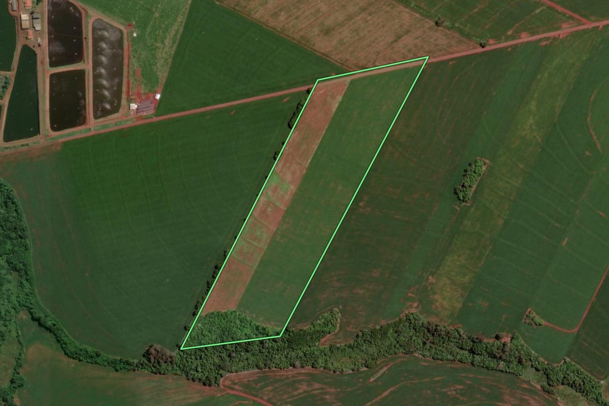 Imagem de satélite do imóvel rural em Assis Chateaubriand (PR), com o contorno declarado no CAR desenhado por cima.