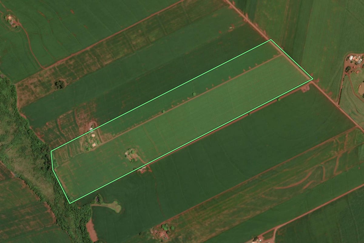 Imagem de satélite do imóvel rural em Assis Chateaubriand (PR), com o contorno declarado no CAR desenhado por cima.