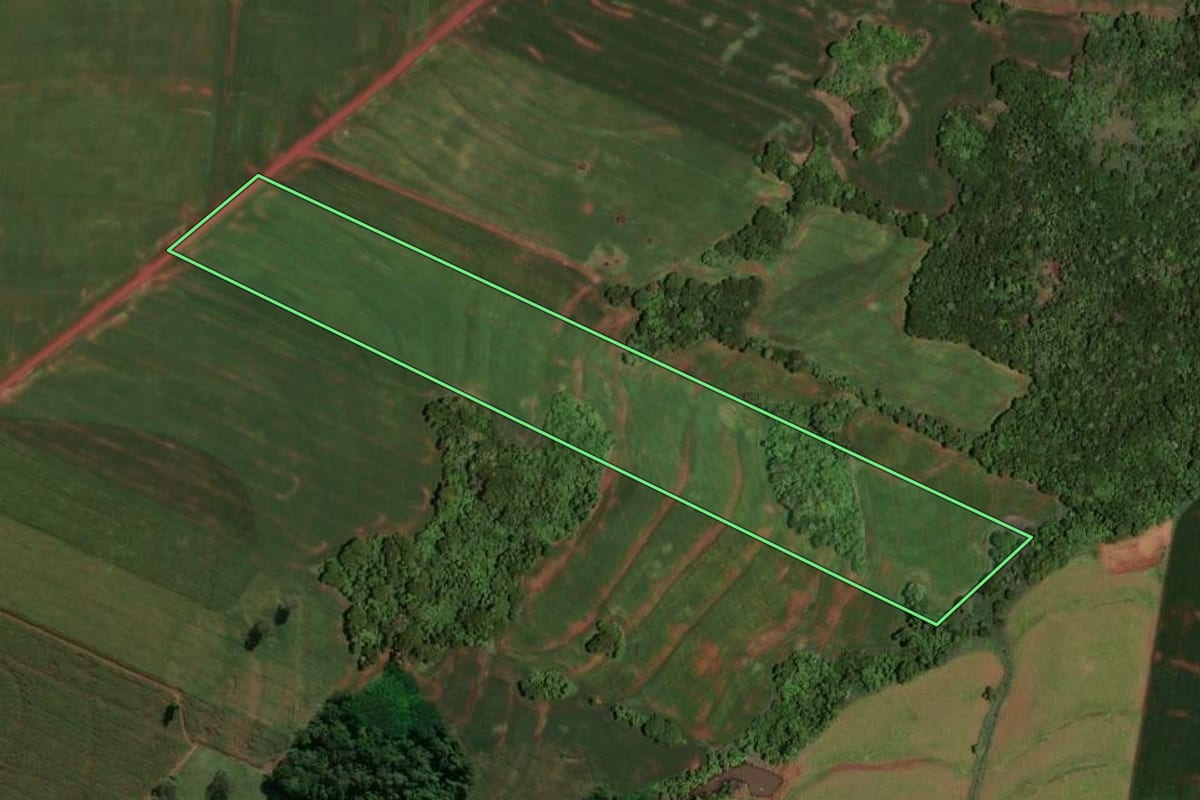 Imagem de satélite do imóvel rural em Assis Chateaubriand (PR), com o contorno declarado no CAR desenhado por cima.