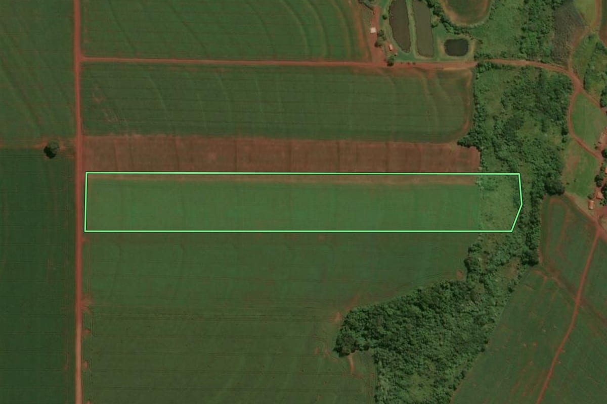 Imagem de satélite do imóvel rural em Assis Chateaubriand (PR), com o contorno declarado no CAR desenhado por cima.