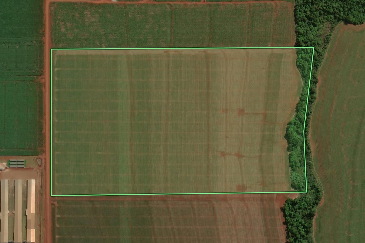 Imagem de satélite do imóvel rural em Assis Chateaubriand (PR), com o contorno declarado no CAR desenhado por cima.