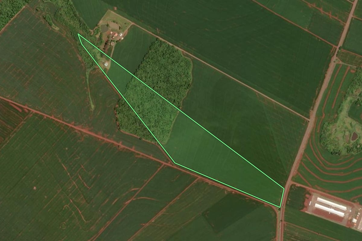 Imagem de satélite do imóvel rural em Assis Chateaubriand (PR), com o contorno declarado no CAR desenhado por cima.