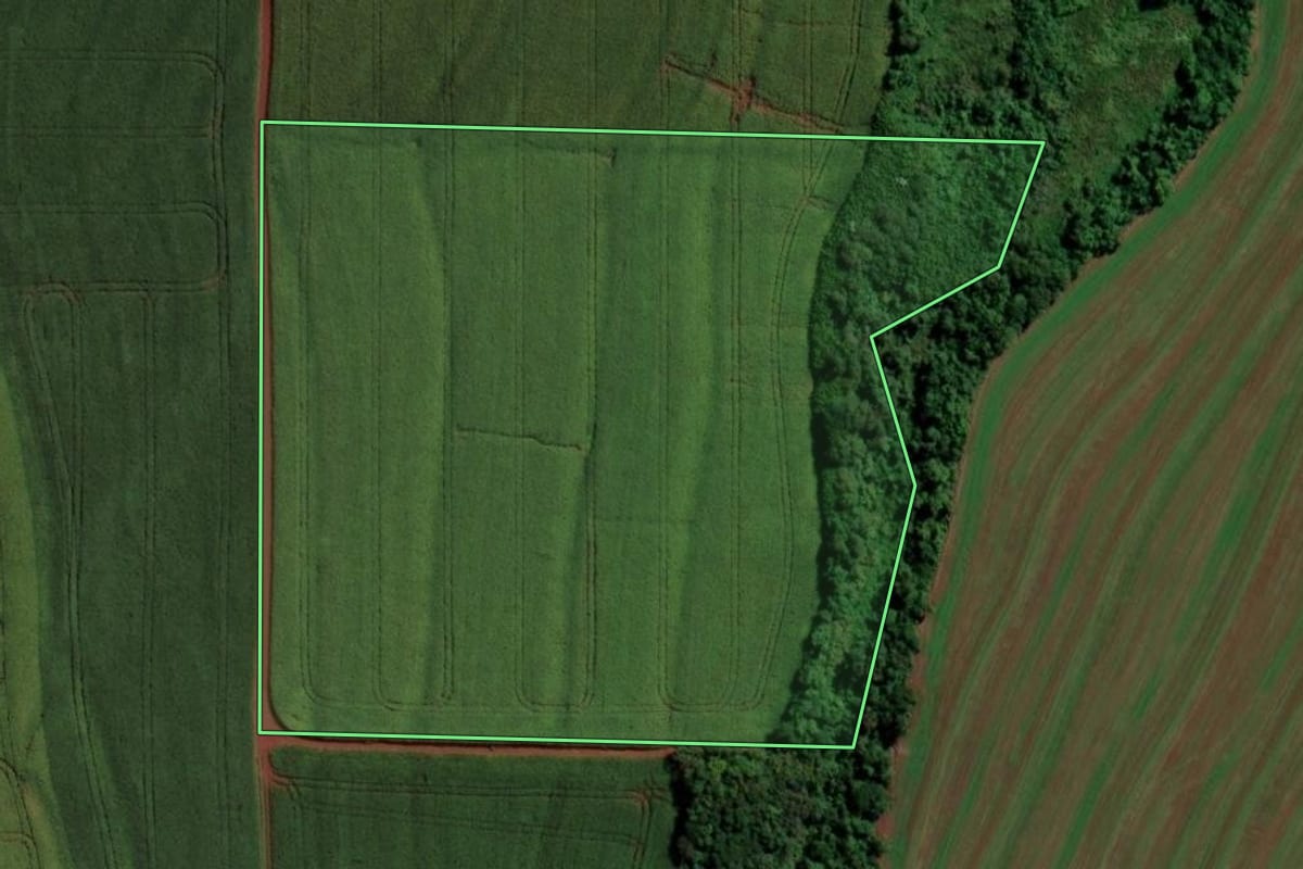 Imagem de satélite do imóvel rural em Assis Chateaubriand (PR), com o contorno declarado no CAR desenhado por cima.