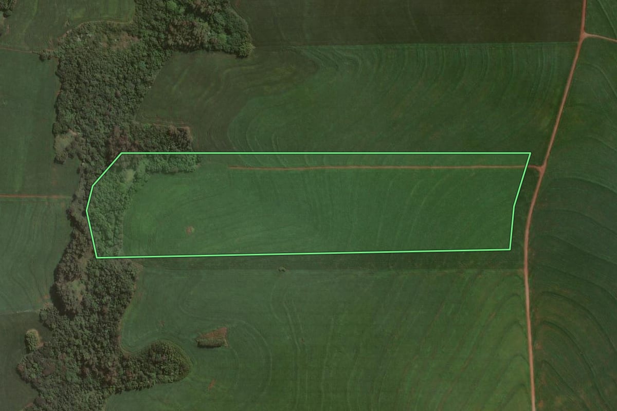 Imagem de satélite do imóvel rural em Astorga (PR), com o contorno declarado no CAR desenhado por cima.