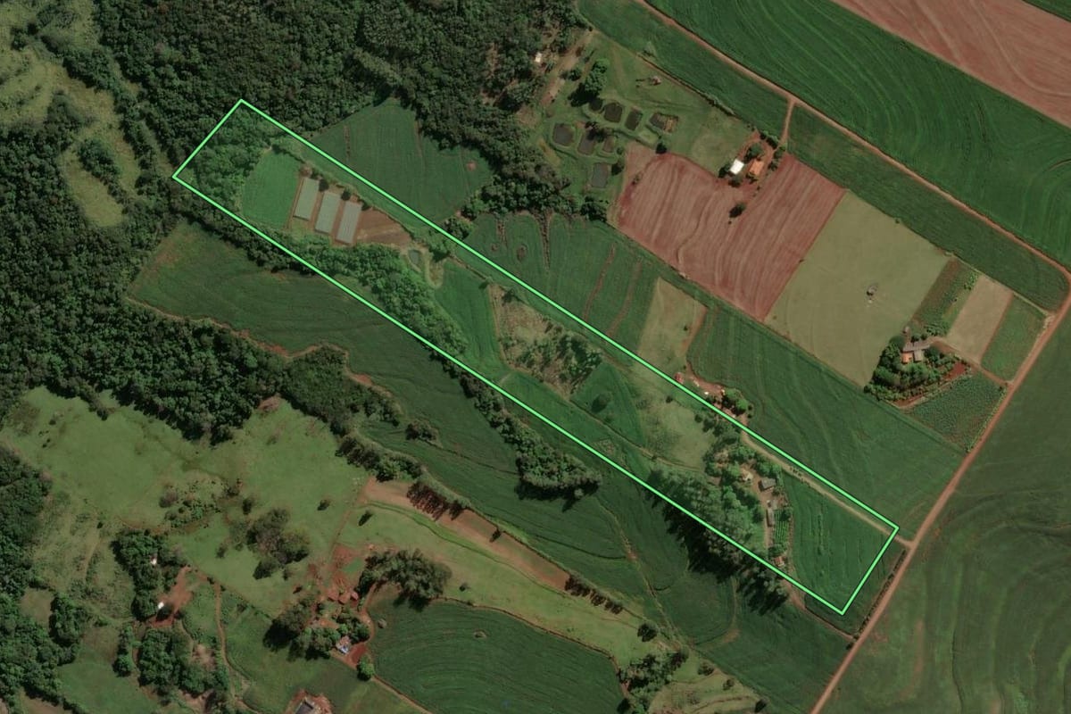 Imagem de satélite do imóvel rural em Astorga (PR), com o contorno declarado no CAR desenhado por cima.