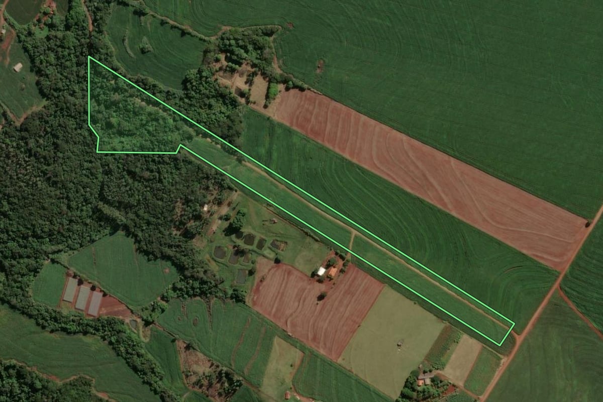 Imagem de satélite do imóvel rural em Astorga (PR), com o contorno declarado no CAR desenhado por cima.