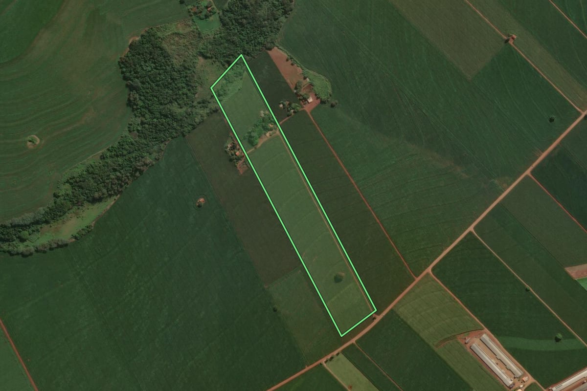 Imagem de satélite do imóvel rural em Astorga (PR), com o contorno declarado no CAR desenhado por cima.