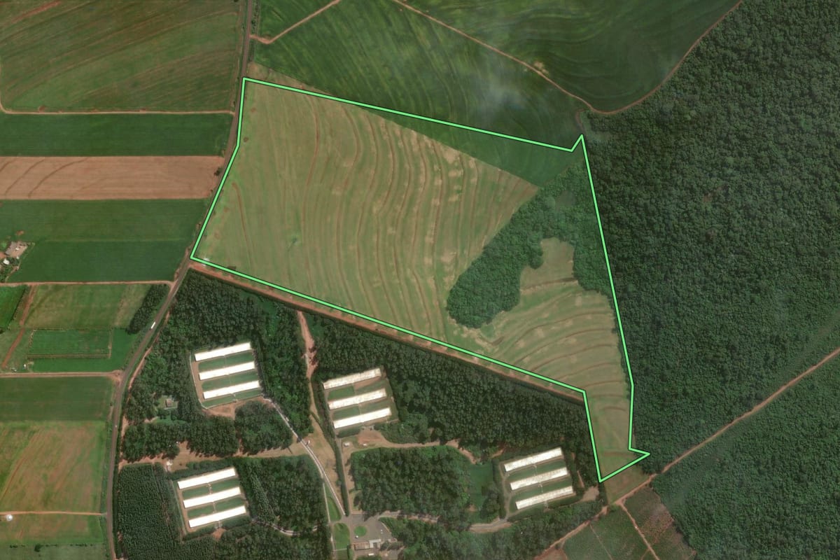 Imagem de satélite do imóvel rural em Astorga (PR), com o contorno declarado no CAR desenhado por cima.