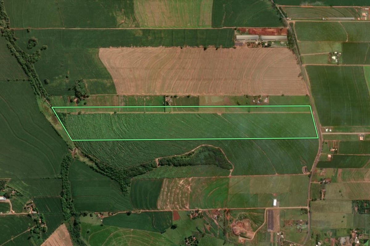 Imagem de satélite do imóvel rural em Astorga (PR), com o contorno declarado no CAR desenhado por cima.