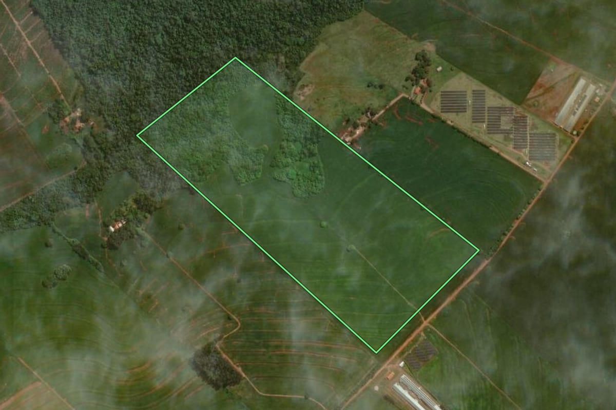 Imagem de satélite do imóvel rural em Astorga (PR), com o contorno declarado no CAR desenhado por cima.