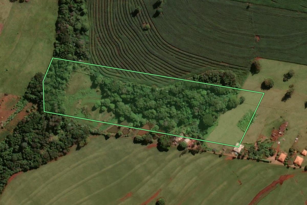 Imagem de satélite do imóvel rural em Astorga (PR), com o contorno declarado no CAR desenhado por cima.
