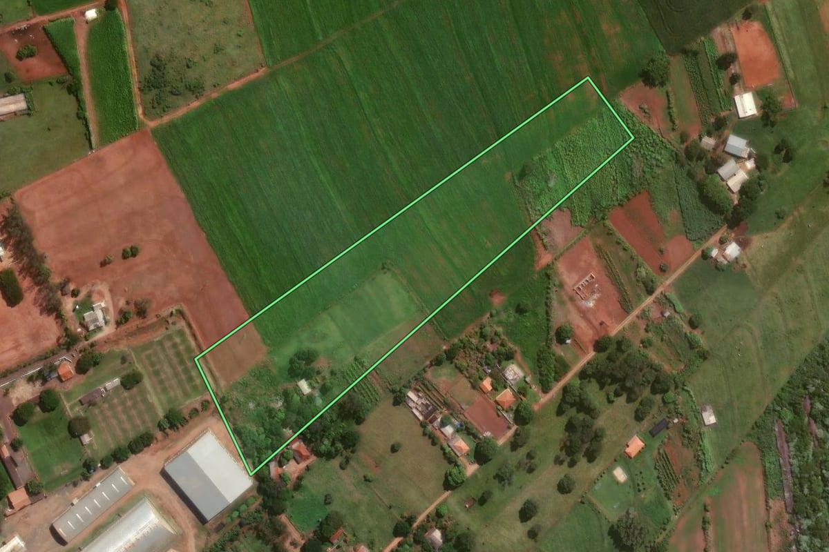 Imagem de satélite do imóvel rural em Astorga (PR), com o contorno declarado no CAR desenhado por cima.