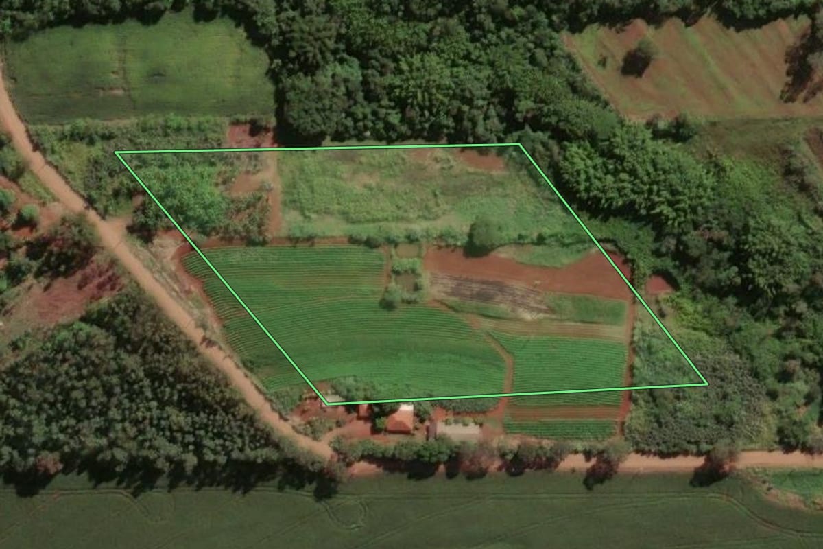 Imagem de satélite do imóvel rural em Astorga (PR), com o contorno declarado no CAR desenhado por cima.