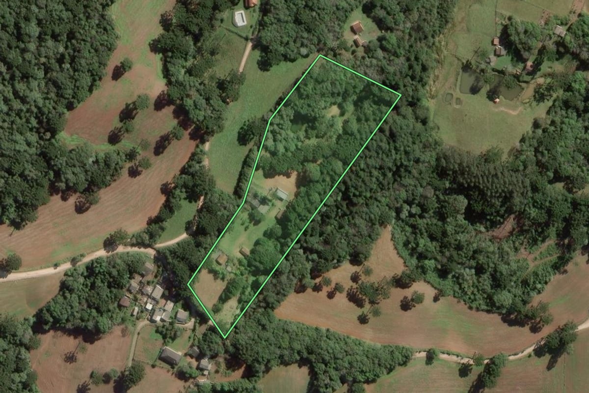 Imagem de satélite do imóvel rural em Balsa Nova (PR), com o contorno declarado no CAR desenhado por cima.