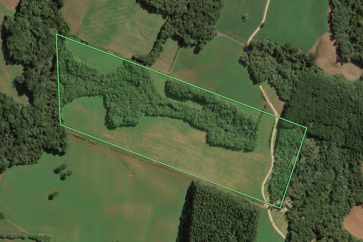 Imagem de satélite do imóvel rural em Balsa Nova (PR), com o contorno declarado no CAR desenhado por cima.