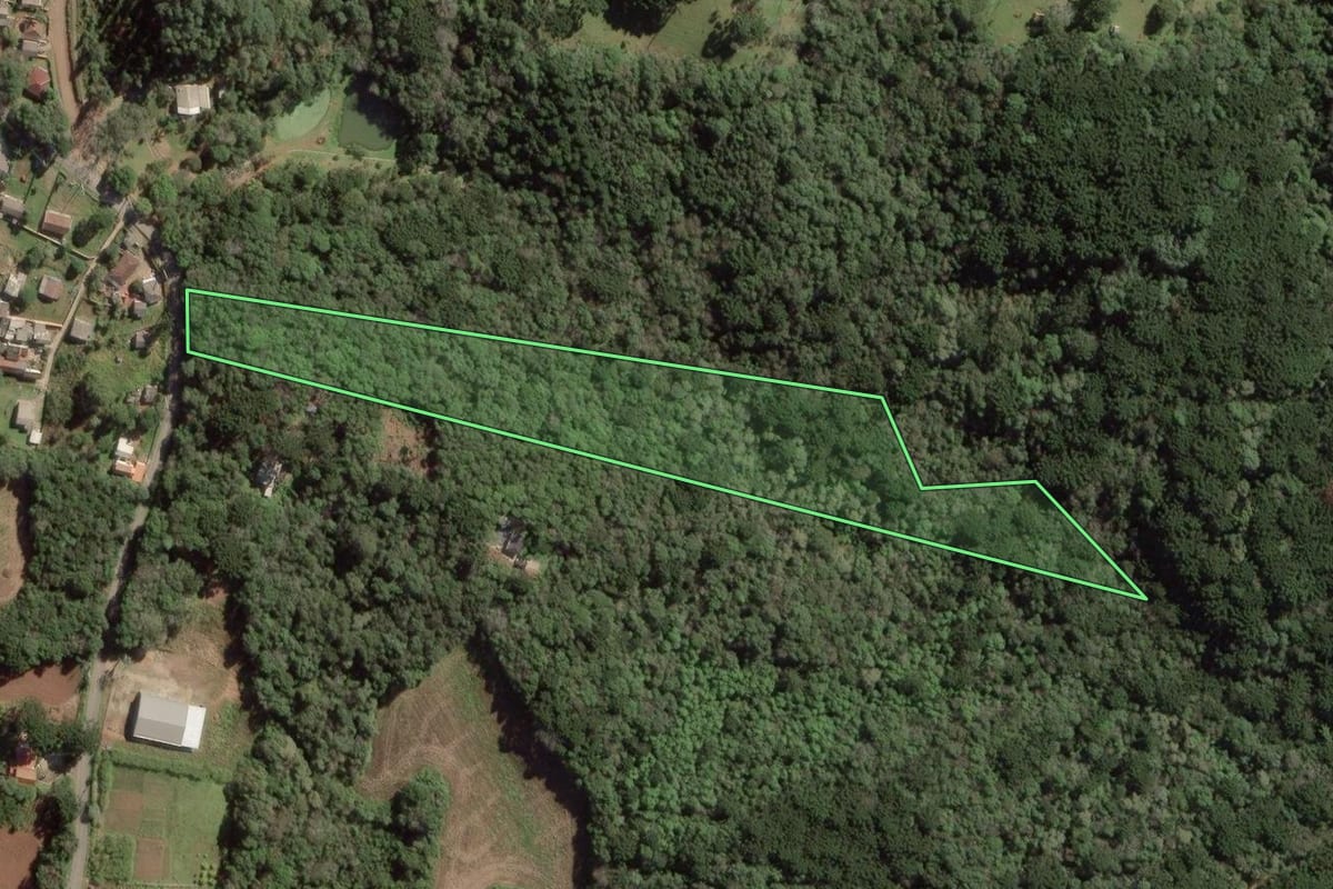 Imagem de satélite do imóvel rural em Balsa Nova (PR), com o contorno declarado no CAR desenhado por cima.