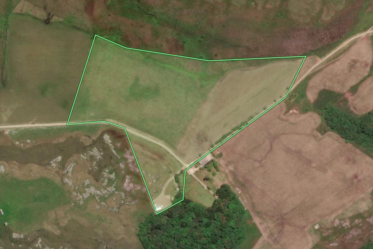 Imagem de satélite do imóvel rural em Balsa Nova (PR), com o contorno declarado no CAR desenhado por cima.