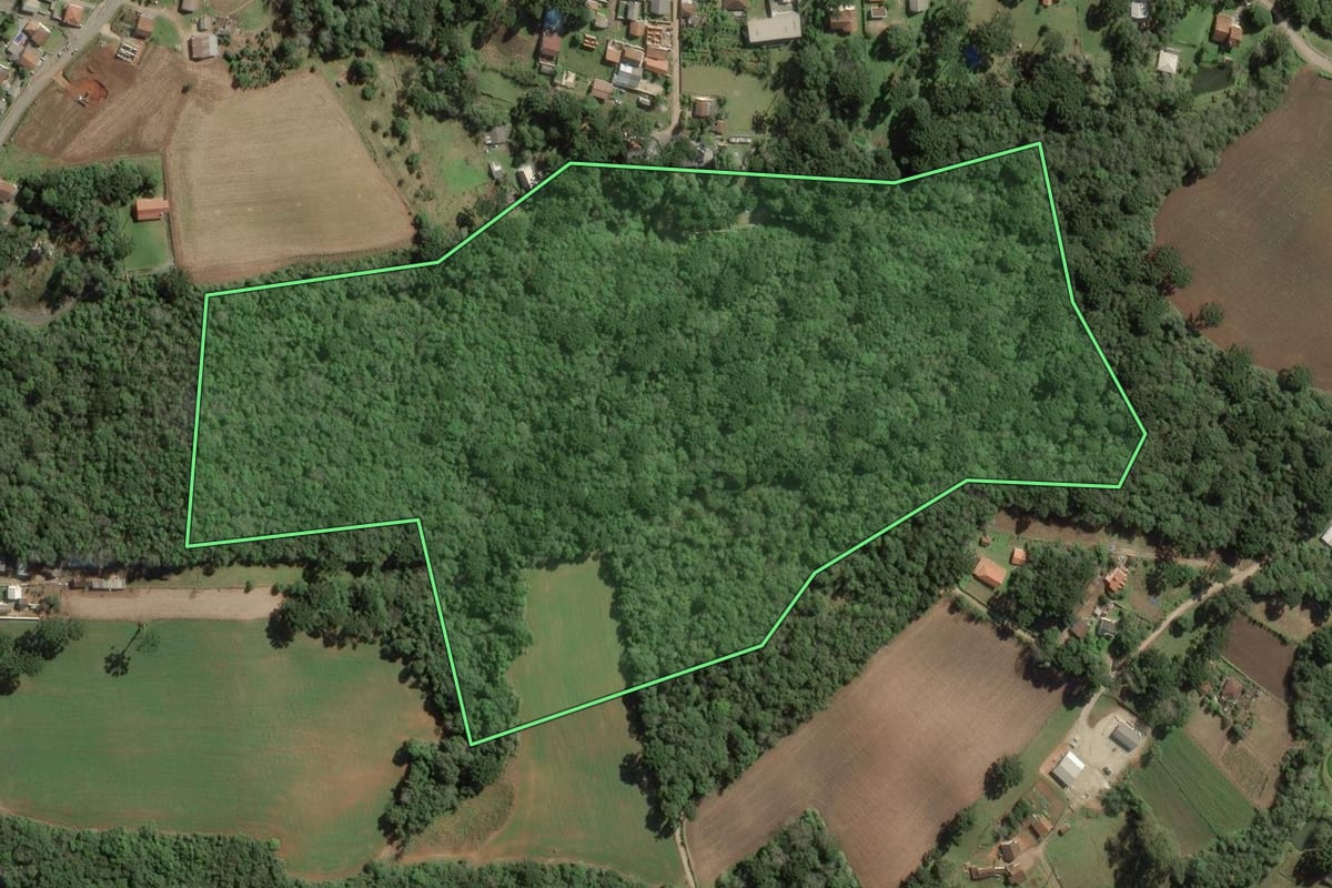 Imagem de satélite do imóvel rural em Balsa Nova (PR), com o contorno declarado no CAR desenhado por cima.