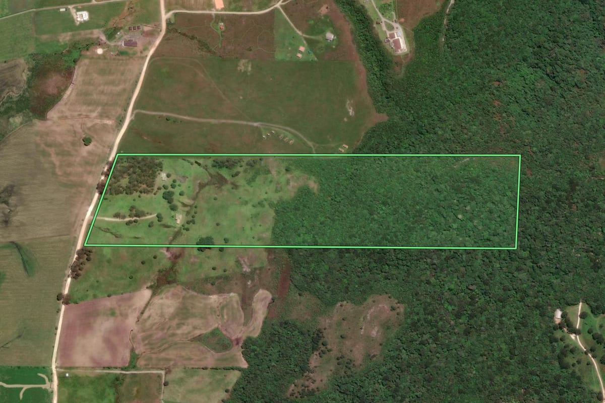 Imagem de satélite do imóvel rural em Balsa Nova (PR), com o contorno declarado no CAR desenhado por cima.