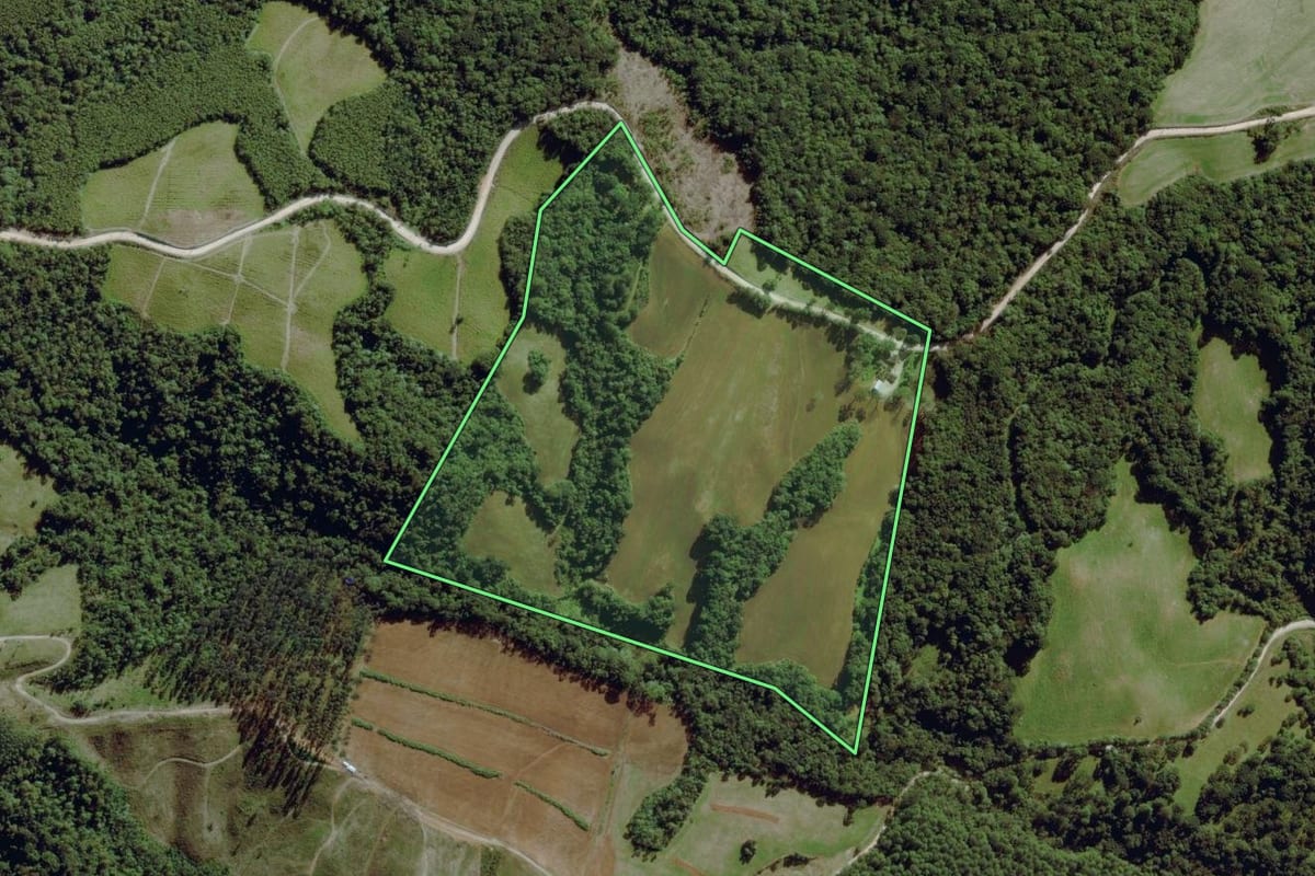 Imagem de satélite do imóvel rural em Balsa Nova (PR), com o contorno declarado no CAR desenhado por cima.