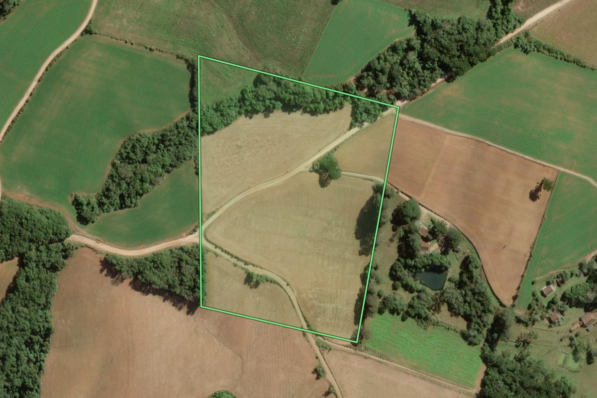 Imagem de satélite do imóvel rural em Balsa Nova (PR), com o contorno declarado no CAR desenhado por cima.