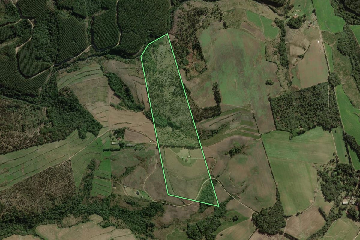 Imagem de satélite do imóvel rural em Balsa Nova (PR), com o contorno declarado no CAR desenhado por cima.