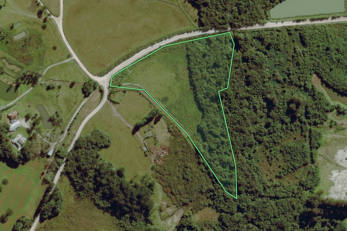 Imagem de satélite do imóvel rural em Balsa Nova (PR), com o contorno declarado no CAR desenhado por cima.