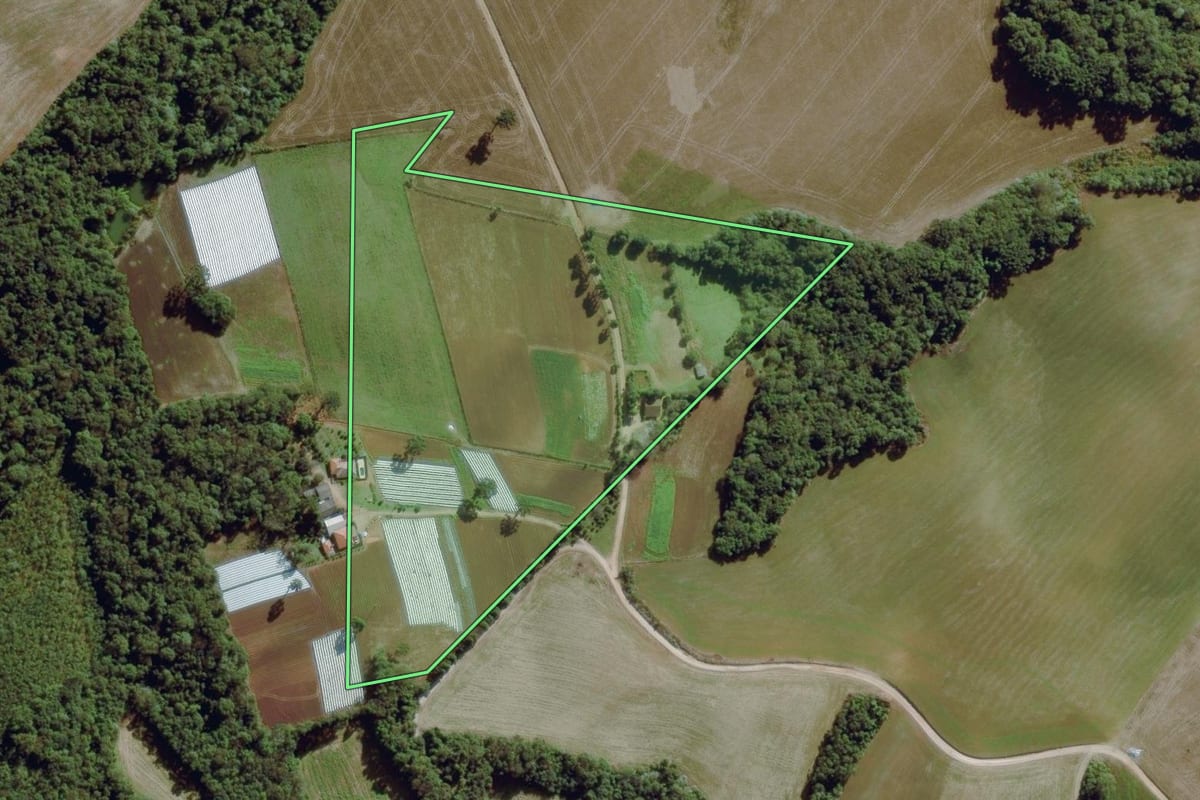 Imagem de satélite do imóvel rural em Balsa Nova (PR), com o contorno declarado no CAR desenhado por cima.