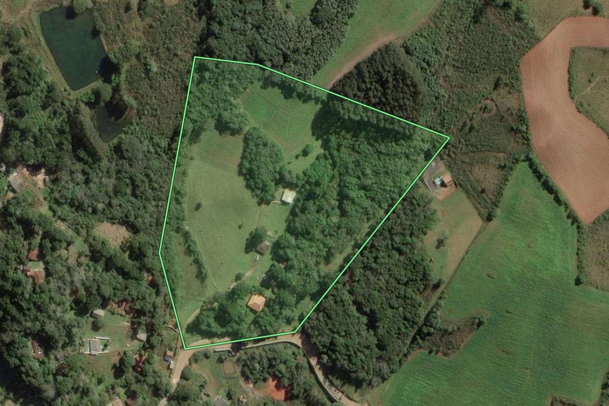 Imagem de satélite do imóvel rural em Balsa Nova (PR), com o contorno declarado no CAR desenhado por cima.