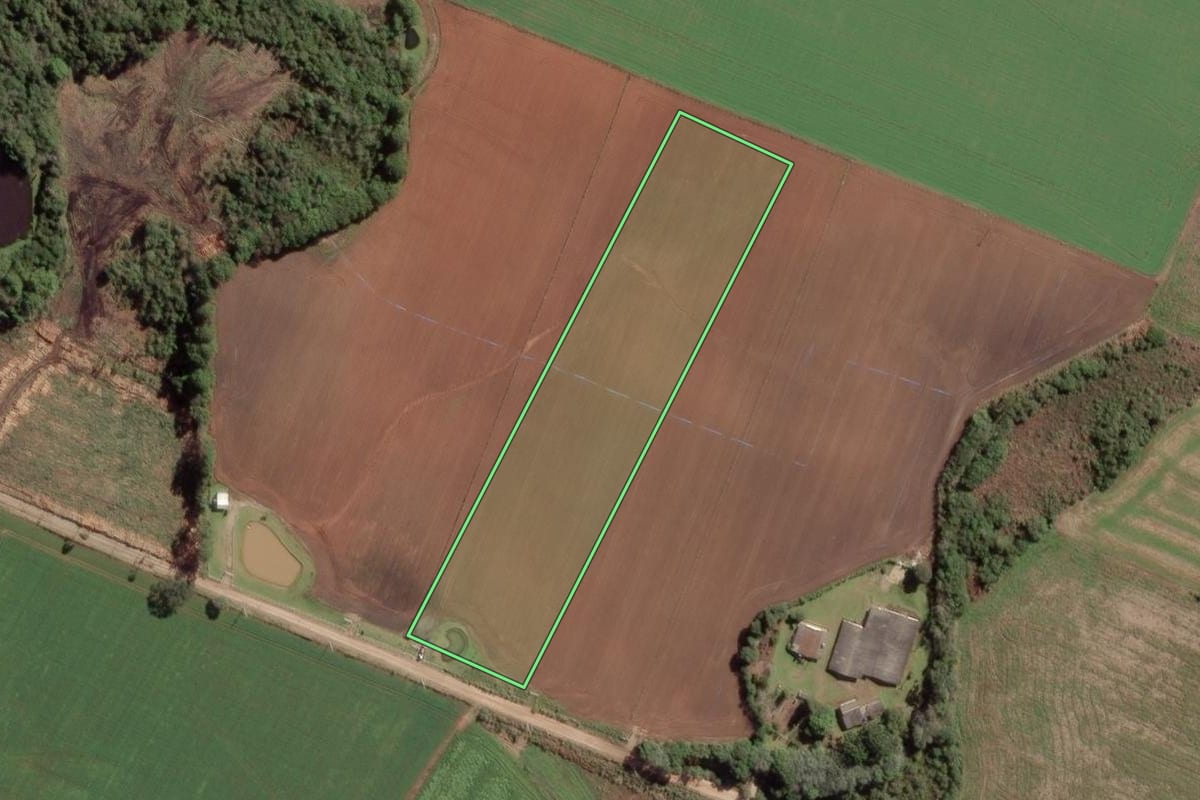 Imagem de satélite do imóvel rural em Balsa Nova (PR), com o contorno declarado no CAR desenhado por cima.