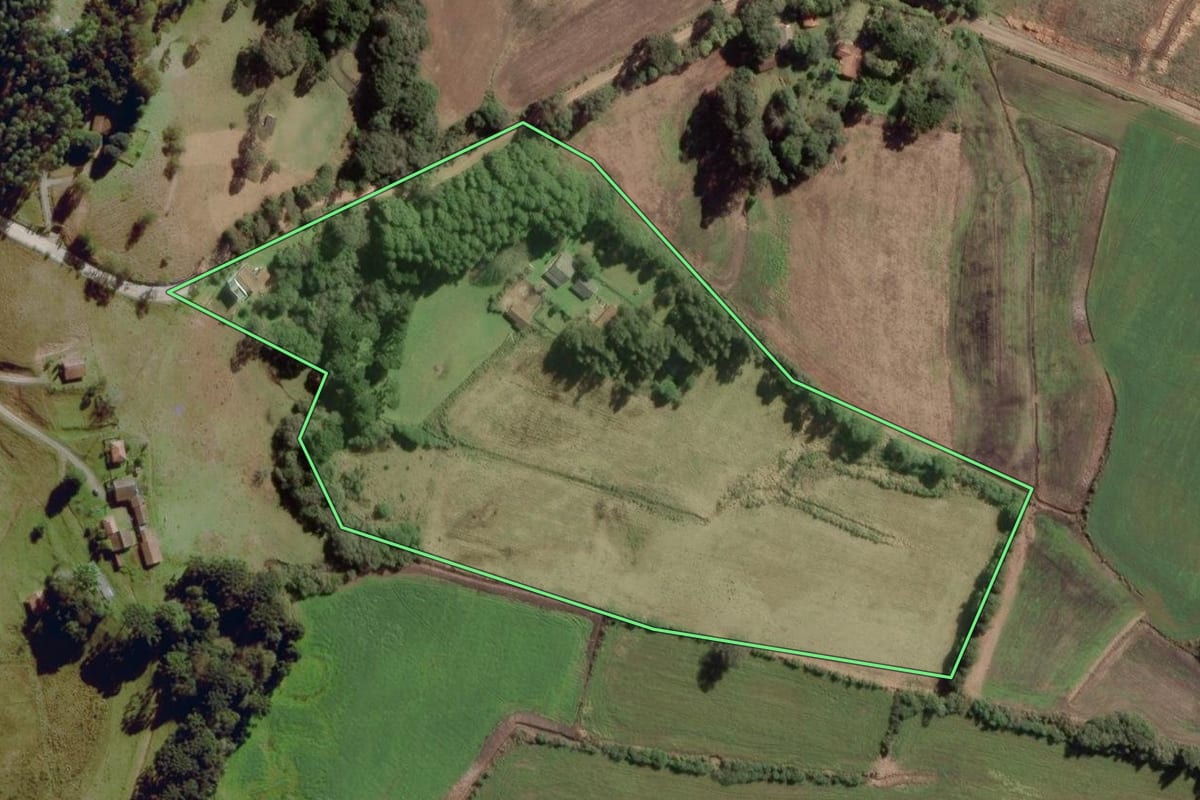 Imagem de satélite do imóvel rural em Balsa Nova (PR), com o contorno declarado no CAR desenhado por cima.