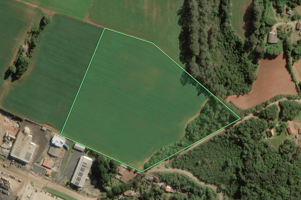 Imagem de satélite do imóvel rural em Balsa Nova (PR), com o contorno declarado no CAR desenhado por cima.