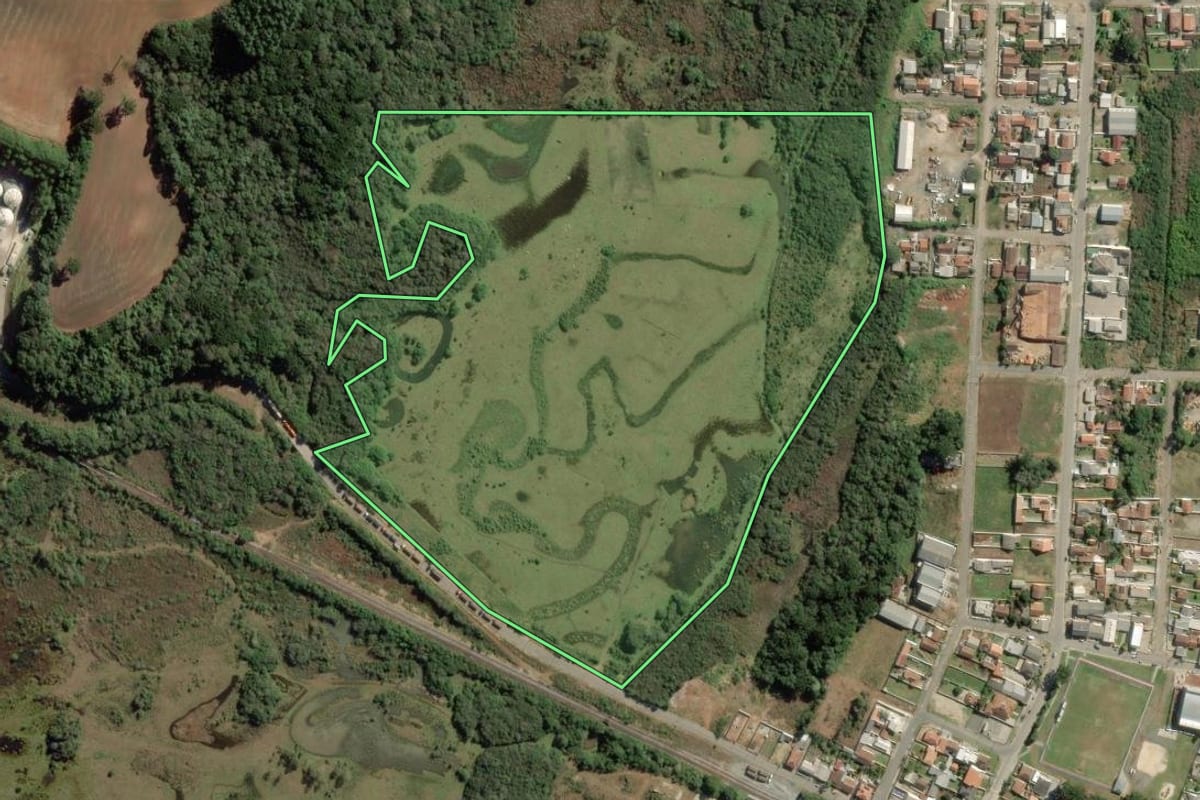 Imagem de satélite do imóvel rural em Balsa Nova (PR), com o contorno declarado no CAR desenhado por cima.