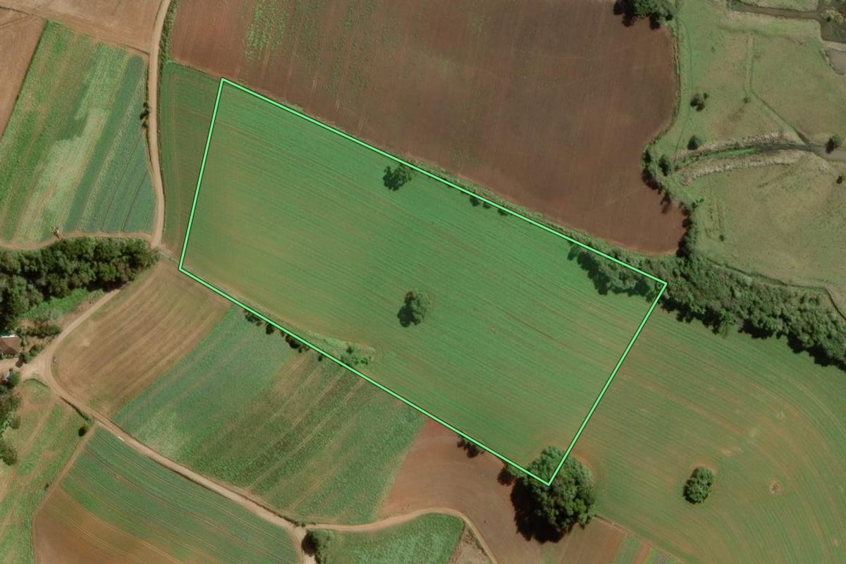 Imagem de satélite do imóvel rural em Balsa Nova (PR), com o contorno declarado no CAR desenhado por cima.