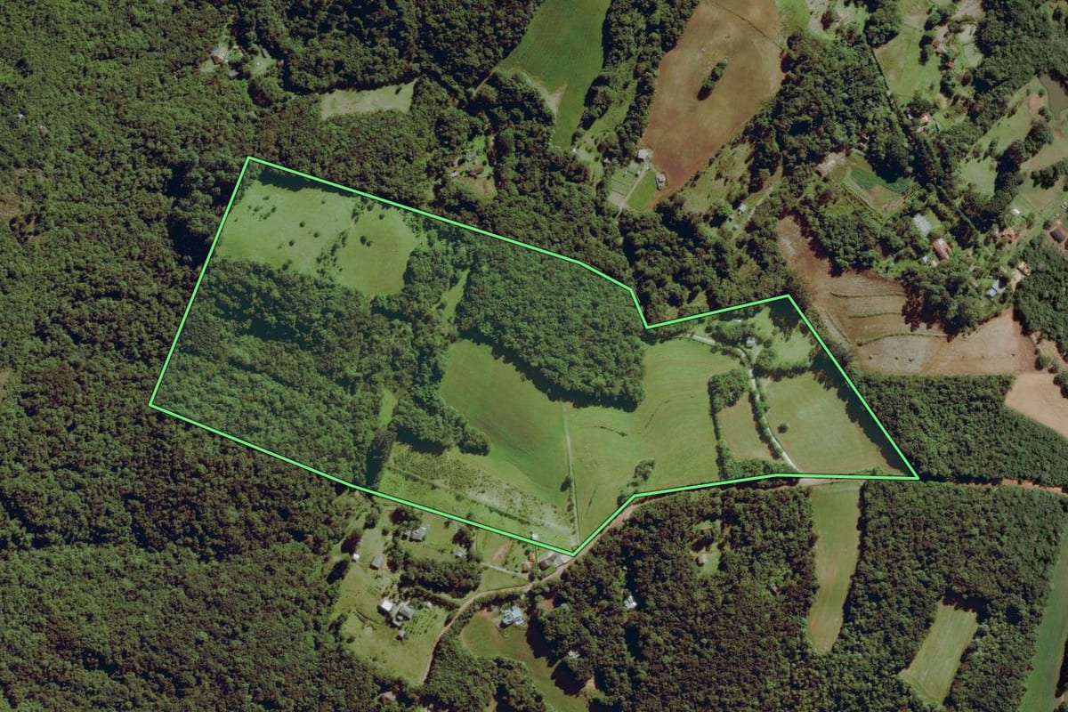 Imagem de satélite do imóvel rural em Balsa Nova (PR), com o contorno declarado no CAR desenhado por cima.