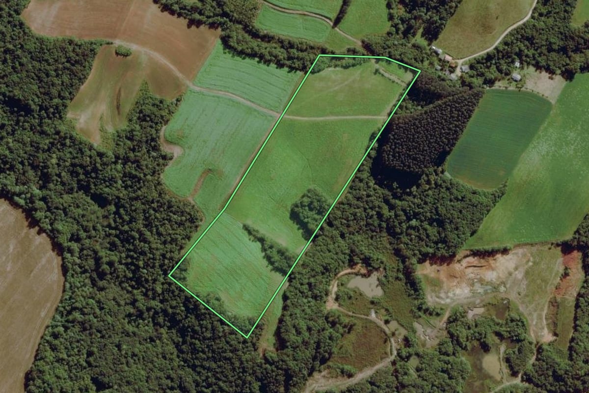 Imagem de satélite do imóvel rural em Balsa Nova (PR), com o contorno declarado no CAR desenhado por cima.