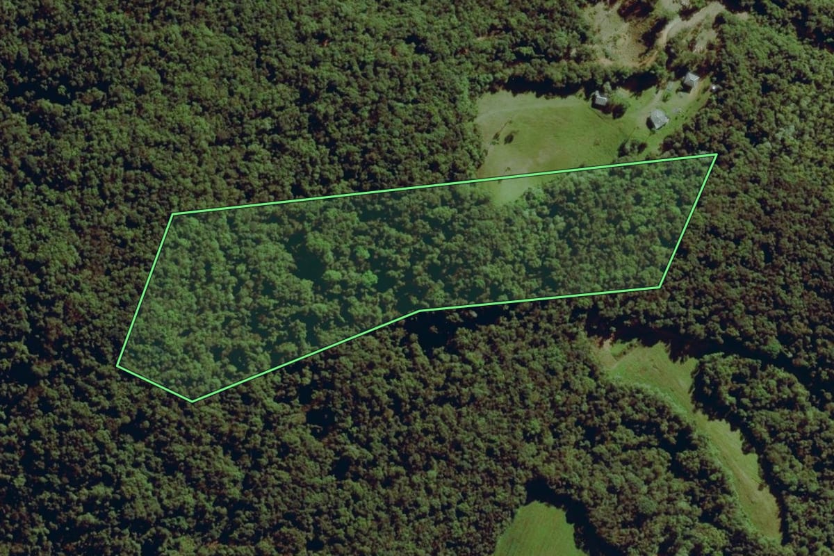 Imagem de satélite do imóvel rural em Balsa Nova (PR), com o contorno declarado no CAR desenhado por cima.