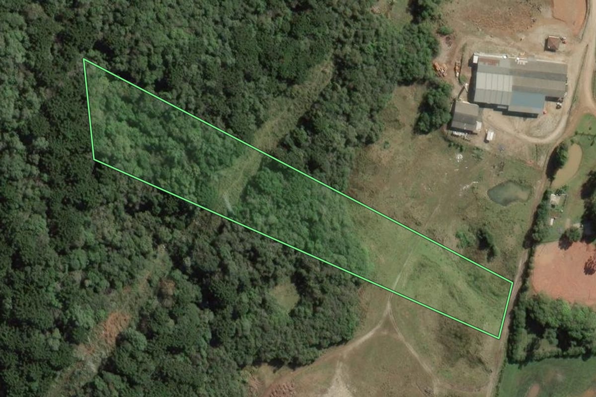 Imagem de satélite do imóvel rural em Balsa Nova (PR), com o contorno declarado no CAR desenhado por cima.