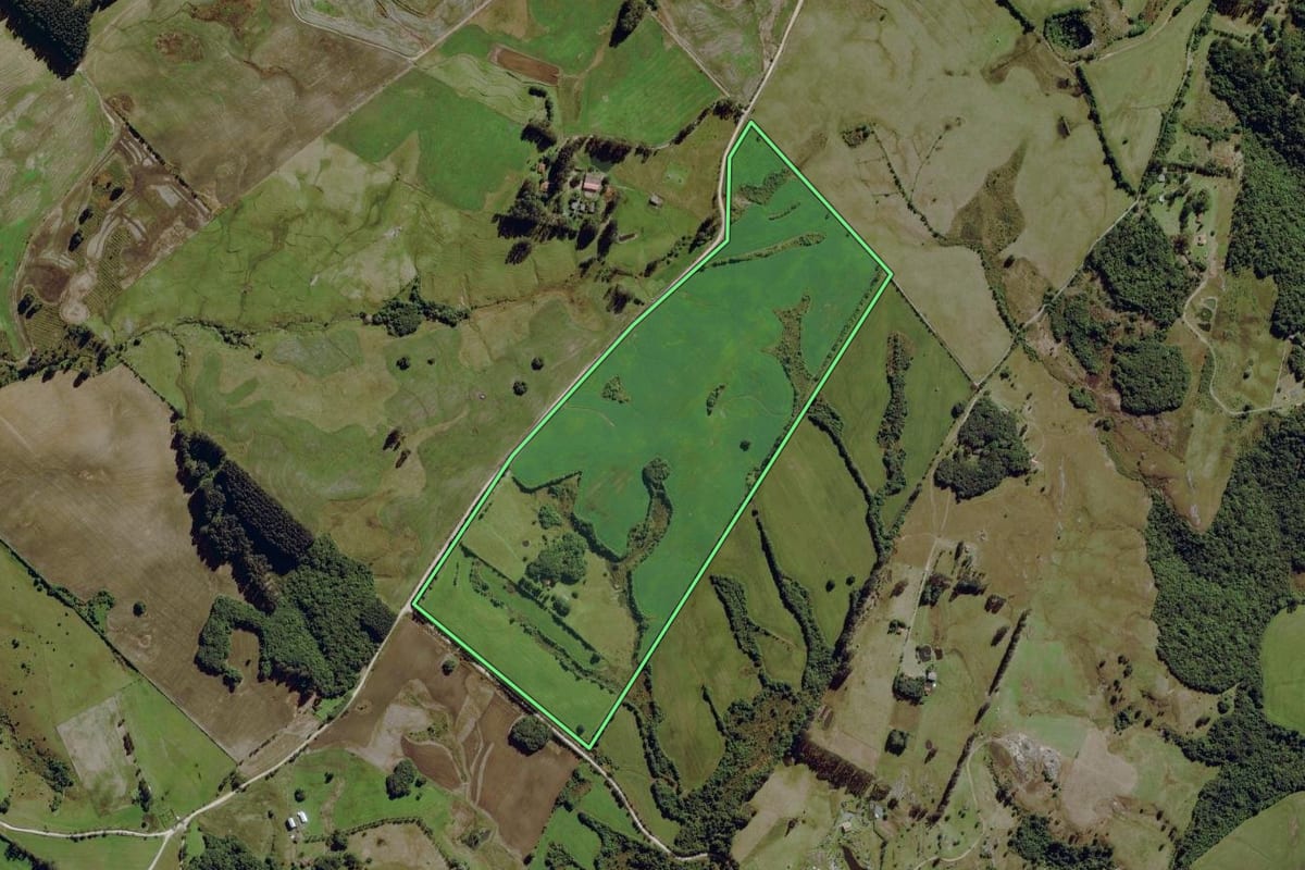Imagem de satélite do imóvel rural em Balsa Nova (PR), com o contorno declarado no CAR desenhado por cima.