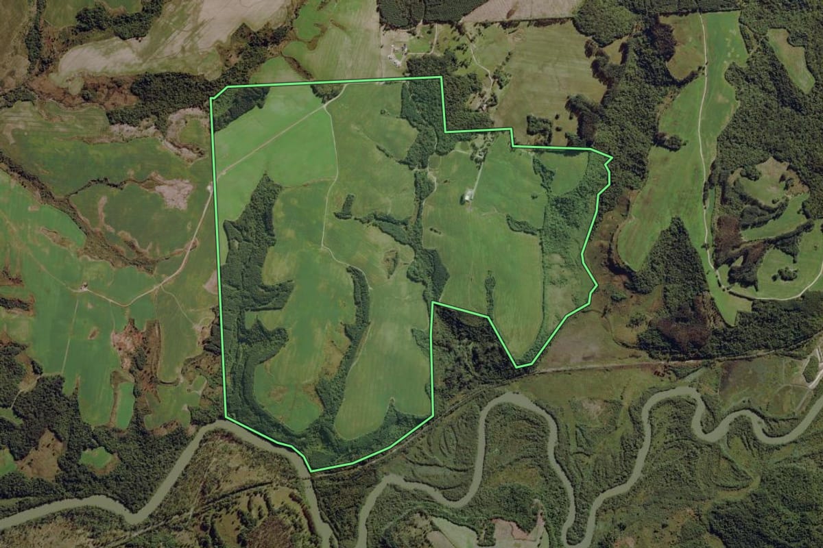 Imagem de satélite do imóvel rural em Balsa Nova (PR), com o contorno declarado no CAR desenhado por cima.