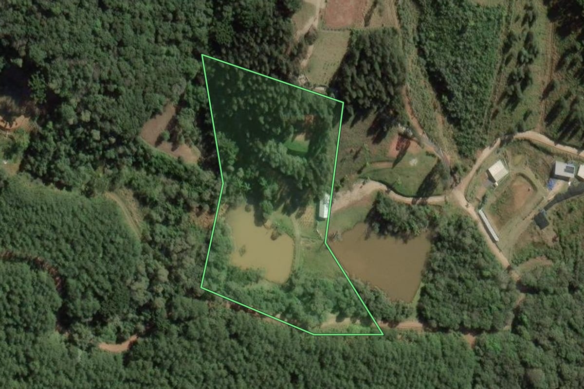 Imagem de satélite do imóvel rural em Balsa Nova (PR), com o contorno declarado no CAR desenhado por cima.