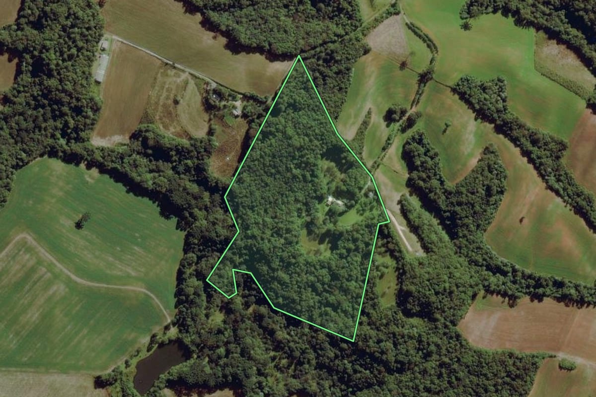 Imagem de satélite do imóvel rural em Balsa Nova (PR), com o contorno declarado no CAR desenhado por cima.
