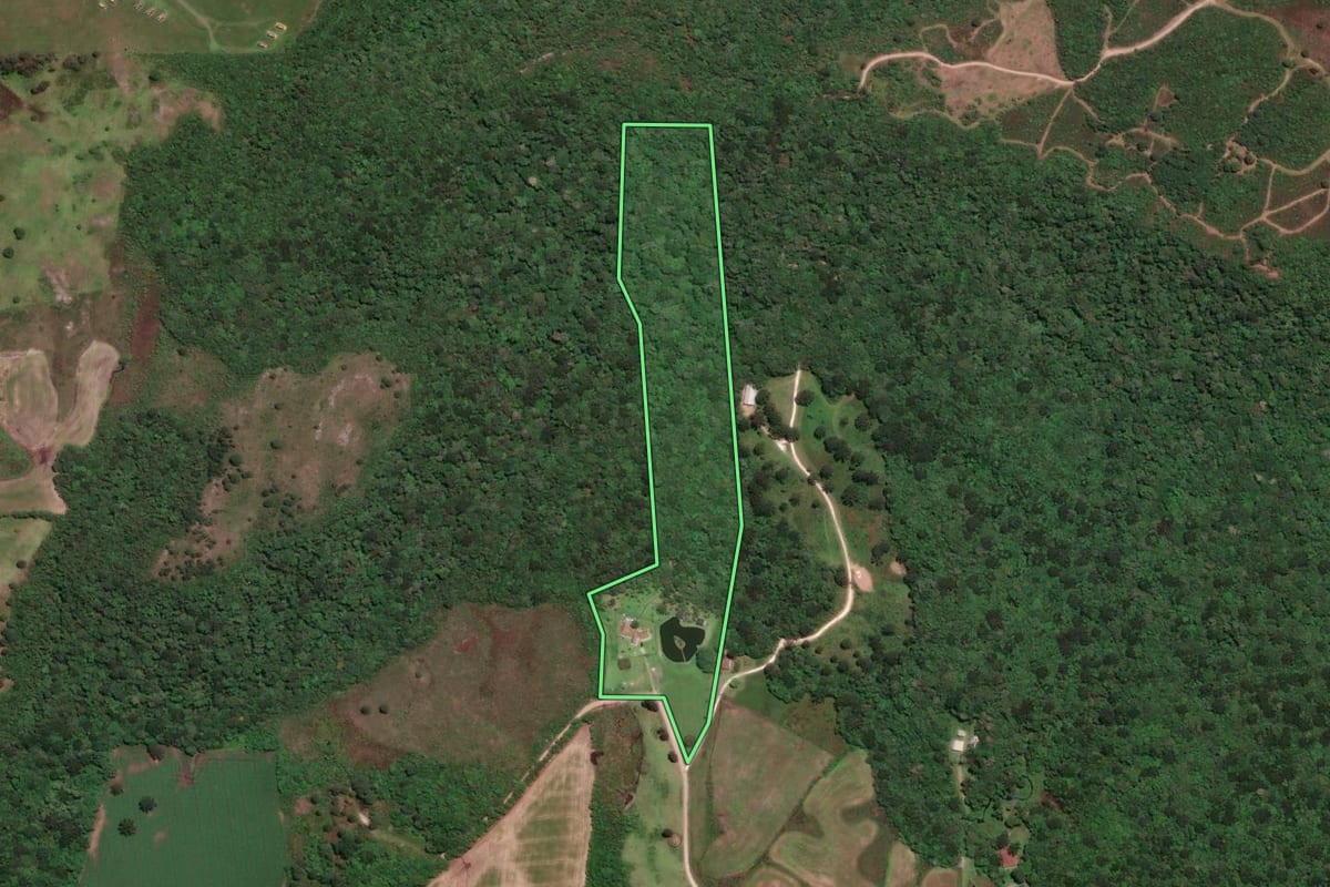Imagem de satélite do imóvel rural em Balsa Nova (PR), com o contorno declarado no CAR desenhado por cima.