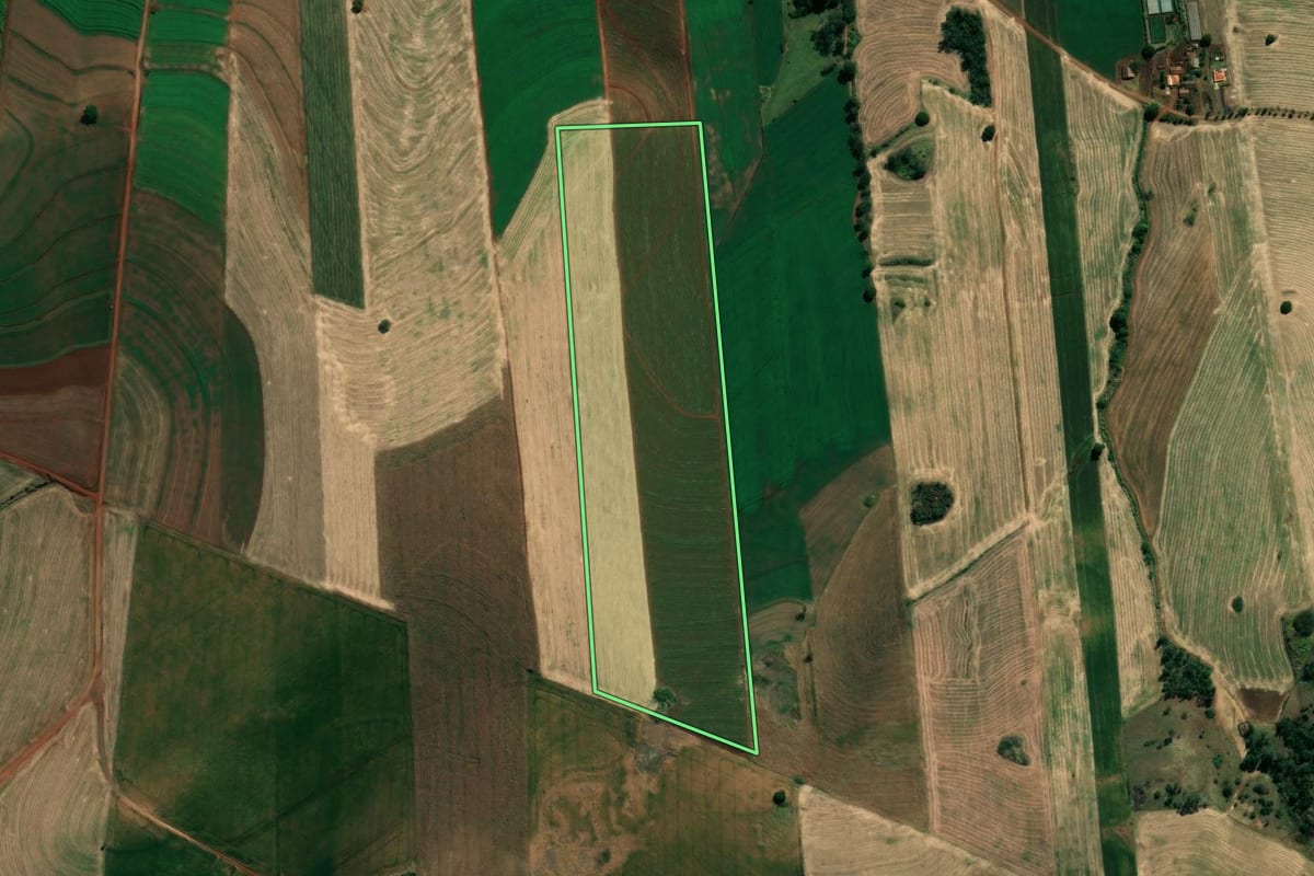 Imagem de satélite do imóvel rural em Bandeirantes (PR), com o contorno declarado no CAR desenhado por cima.