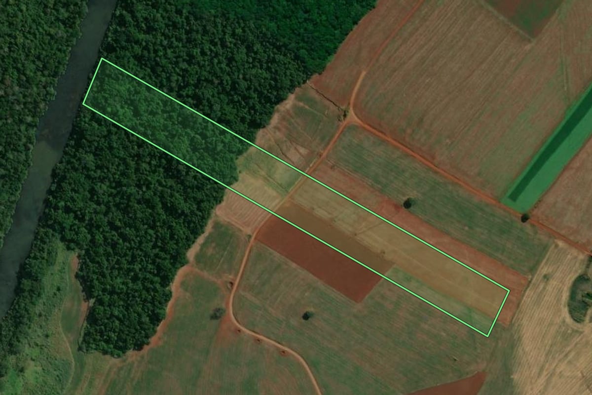 Imagem de satélite do imóvel rural em Bandeirantes (PR), com o contorno declarado no CAR desenhado por cima.