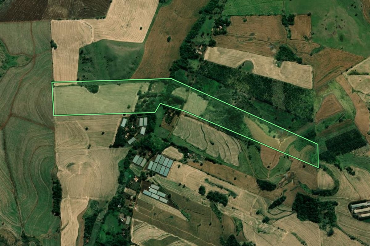 Imagem de satélite do imóvel rural em Bandeirantes (PR), com o contorno declarado no CAR desenhado por cima.